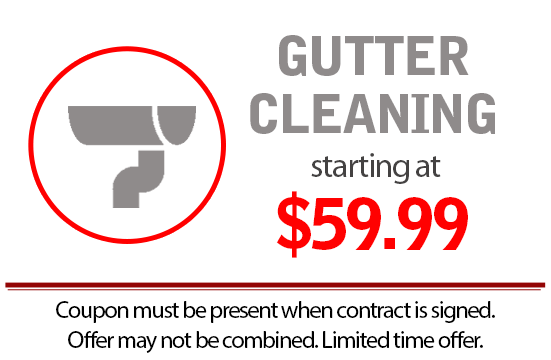 Gutter Cleaning NJ