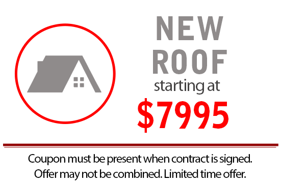 $100 Off any jobs over $500